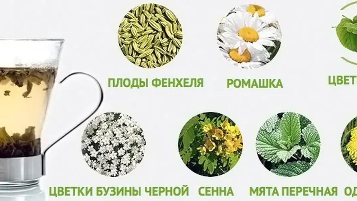 Травяные чаи для похудения